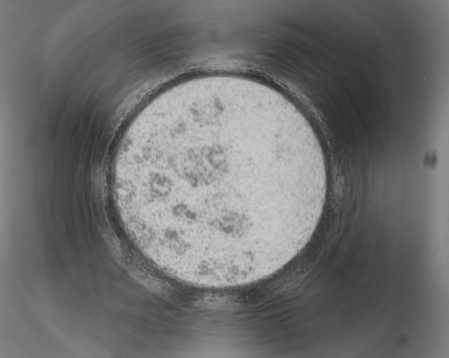X0000115070487200912081151