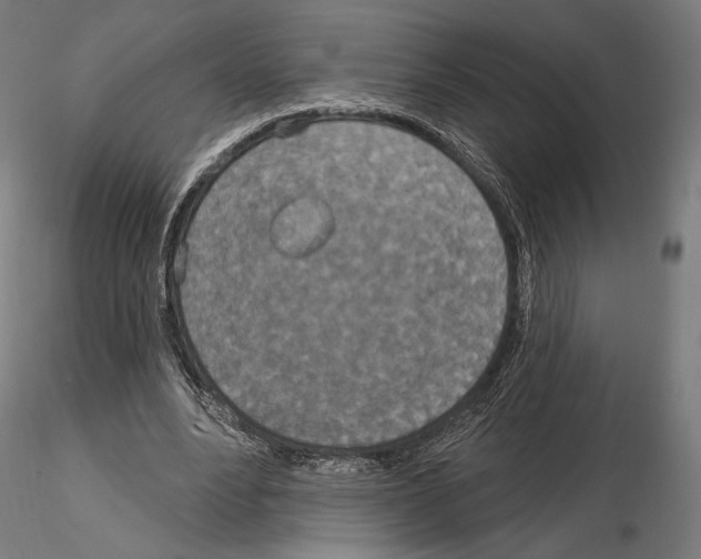 X0000115070488200912081151