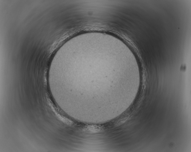 X0000115070489200912081151