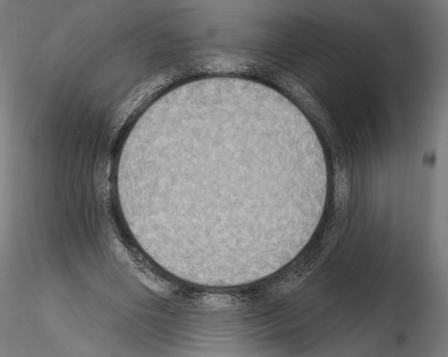 X0000115070490200912081151