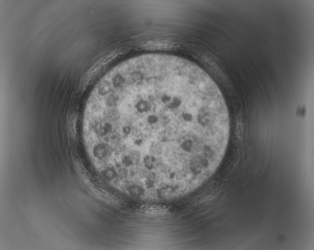 X0000115070491200912081151