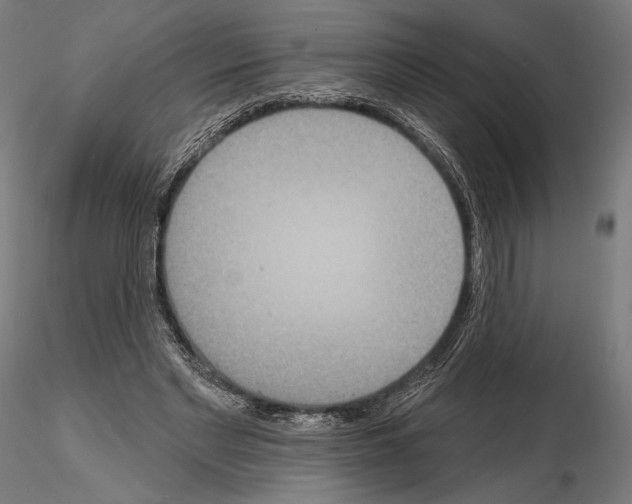 X0000115070493200912081151