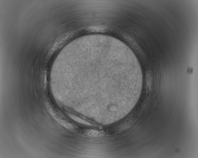 X0000115070494200912081151