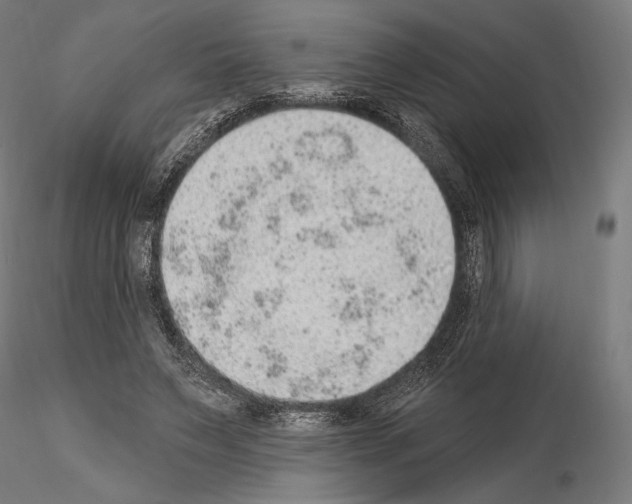X0000115070495200912081151