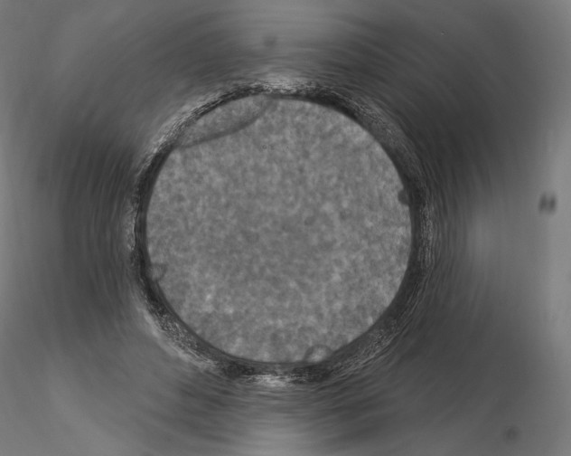 X0000115070496200912081151