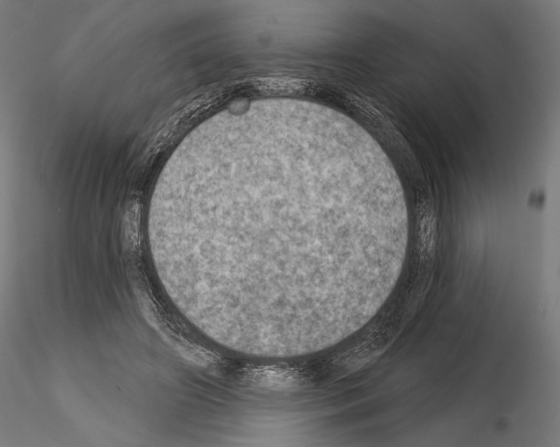 X0000115070498200912081151