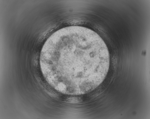 X0000115070499200912081151
