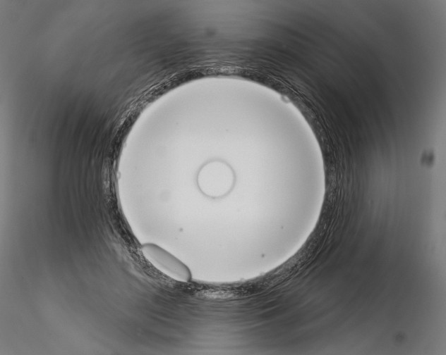 X0000115070500200912081151