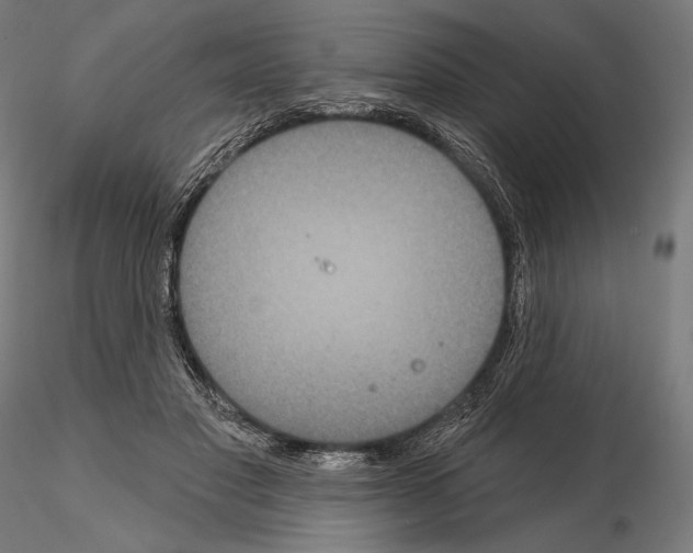 X0000115070501200912081151