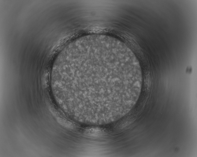 X0000115070503200912081151