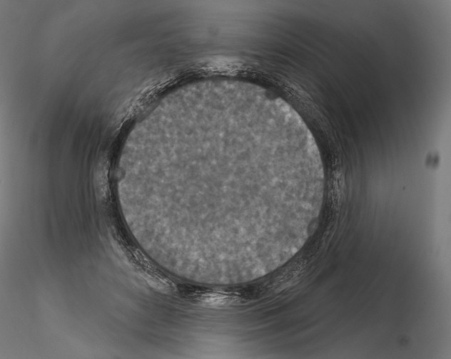 X0000115070504200912081151