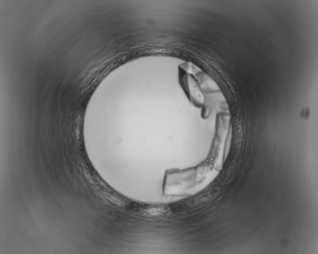 X0000115070505200912081151