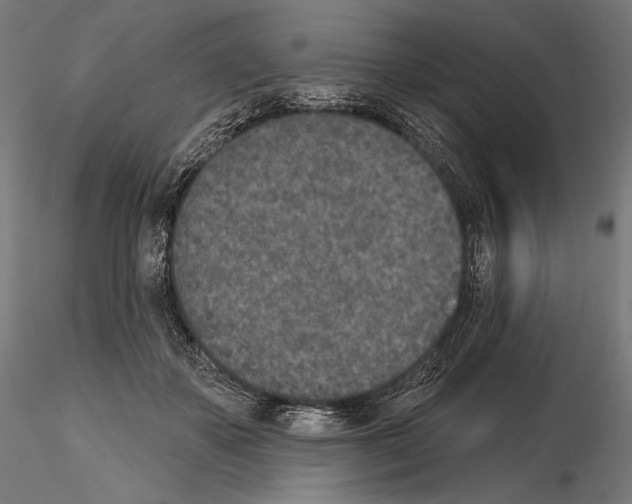 X0000115070507200912081151