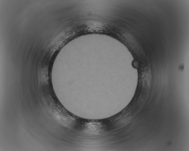 X0000115070508200912081151