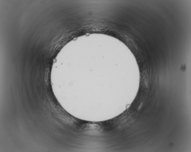 X0000115070509200912081151