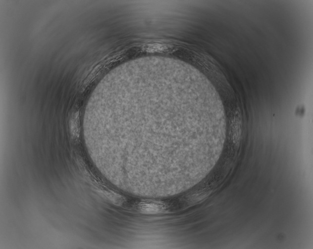 X0000115070510200912081151