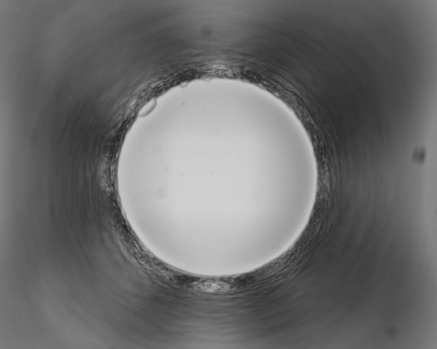 X0000115070512200912081151