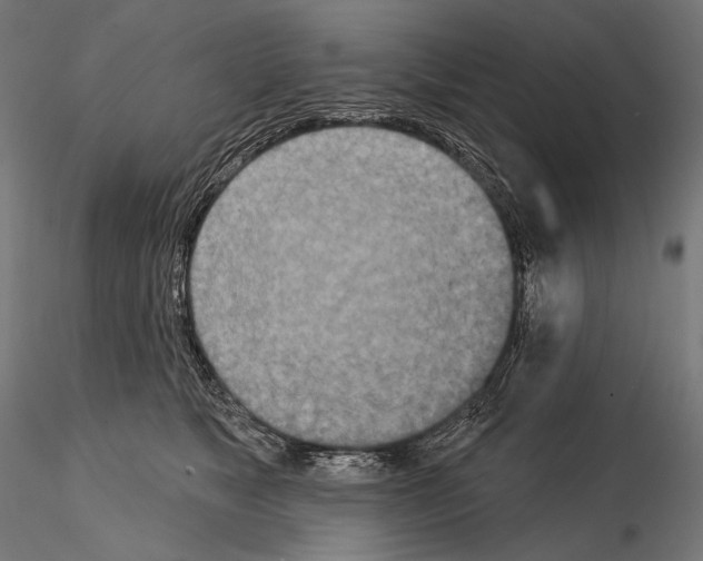 X0000115070517200912081151