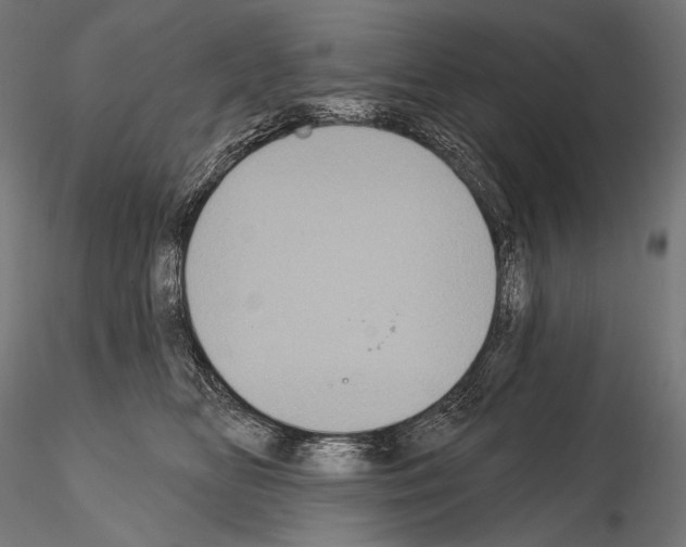 X0000115070518200912081151