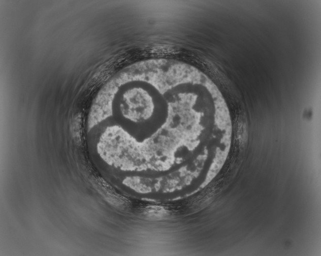 X0000115070519200912081151