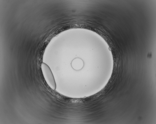 X0000115070520200912081151