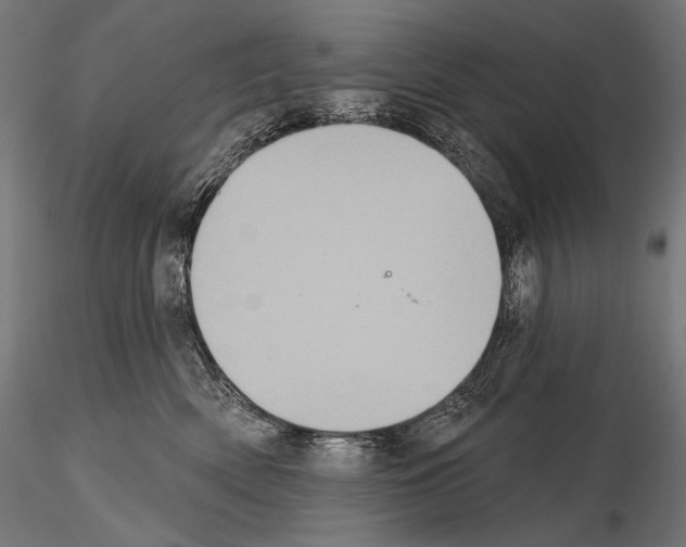 X0000115070522200912081151