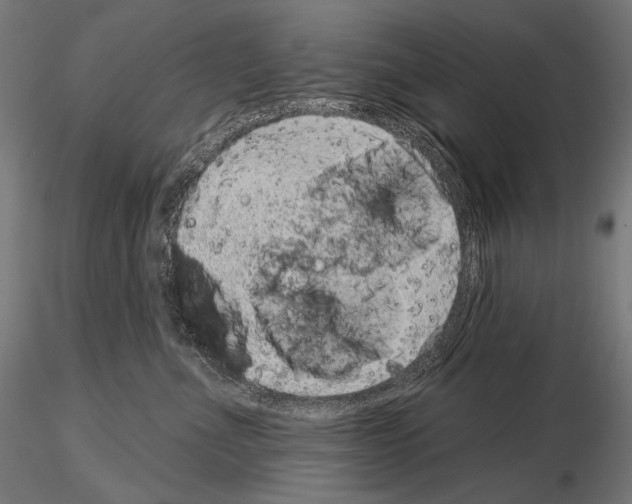 X0000115070523200912081151