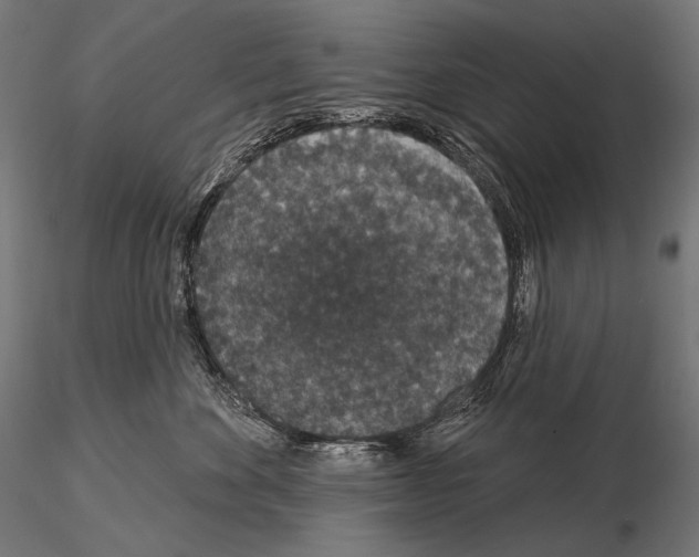 X0000115070524200912081151