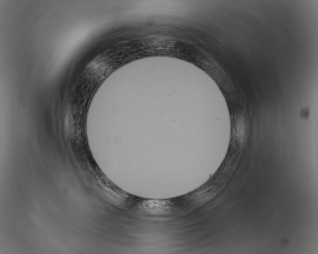 X0000115070526200912081151