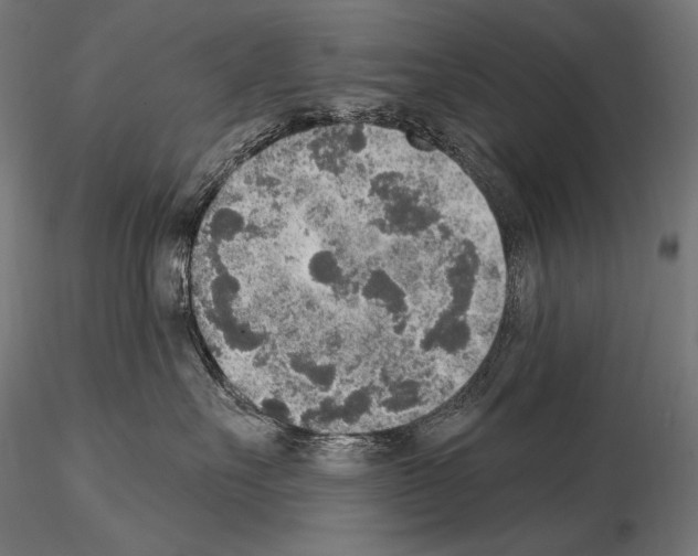 X0000115070527200912081151