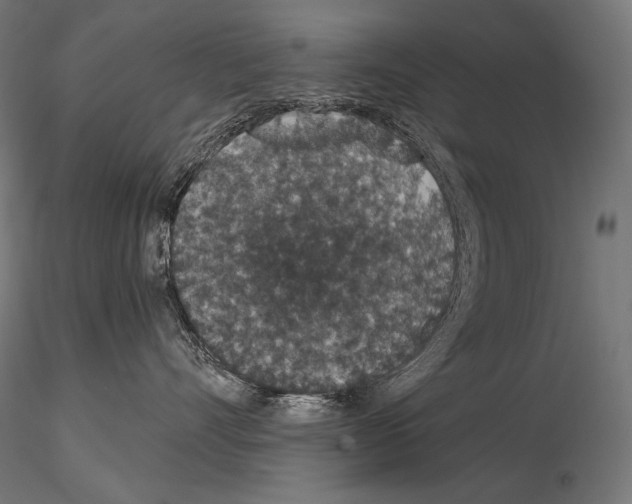 X0000115070528200912081151