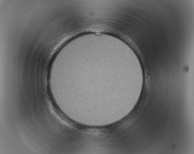 X0000115070530200912081150
