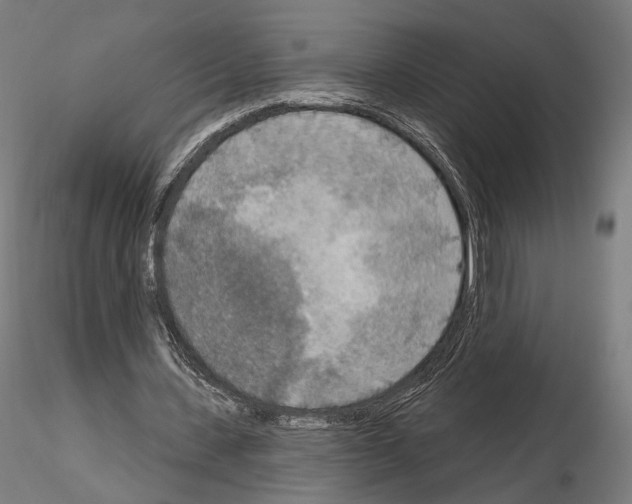 X0000115070531200912081150