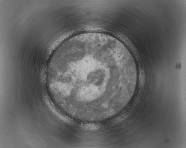 X0000115070533200912081150