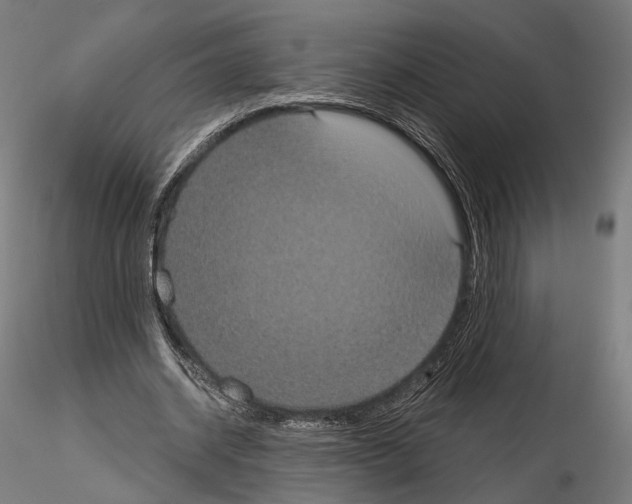 X0000115070534200912081150
