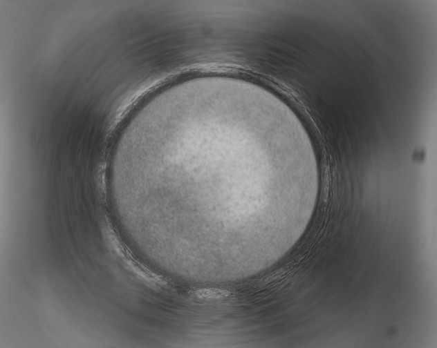 X0000115070535200912081150