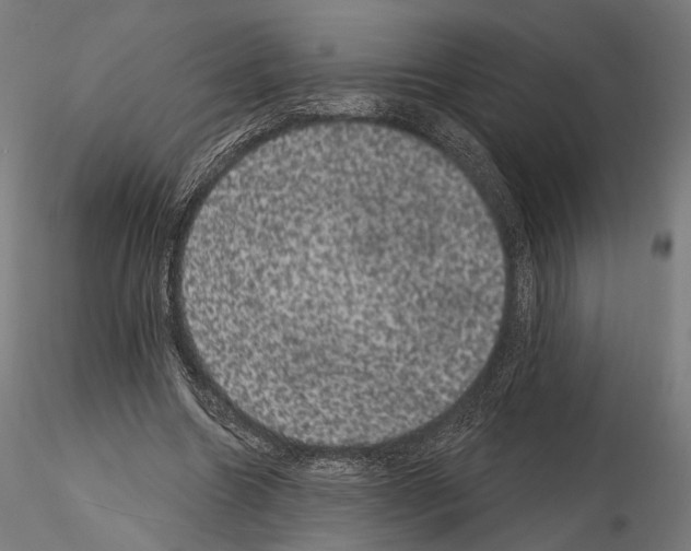 X0000115070538200912081150