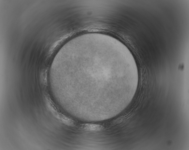 X0000115070539200912081150