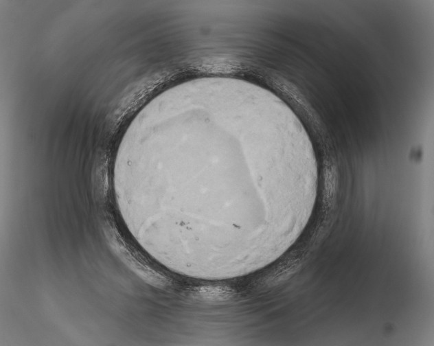 X0000115070541200912081150