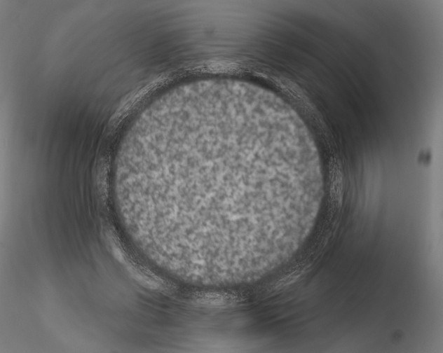 X0000115070542200912081150