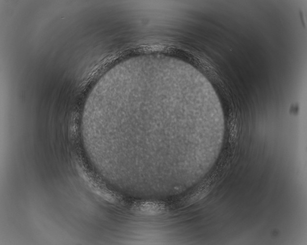 X0000115070546200912081150
