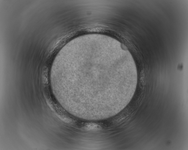 X0000115070547200912081150