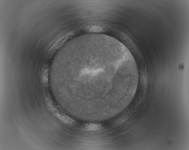 X0000115070549200912081150