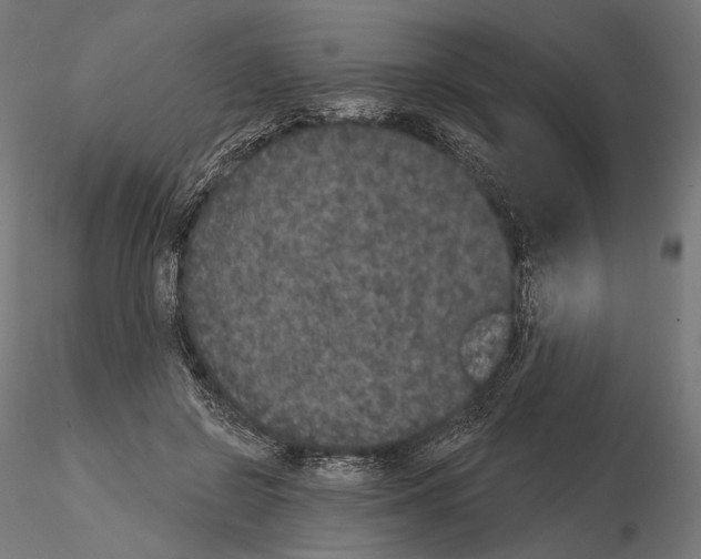 X0000115070550200912081150
