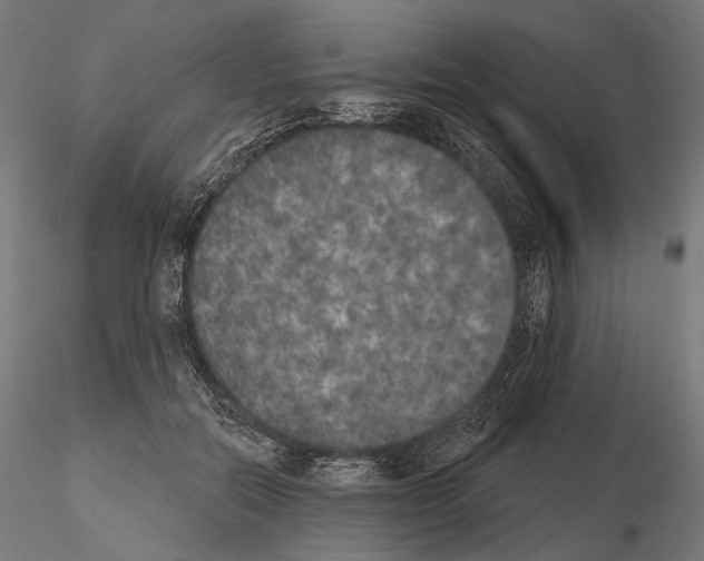 X0000115070554200912081150