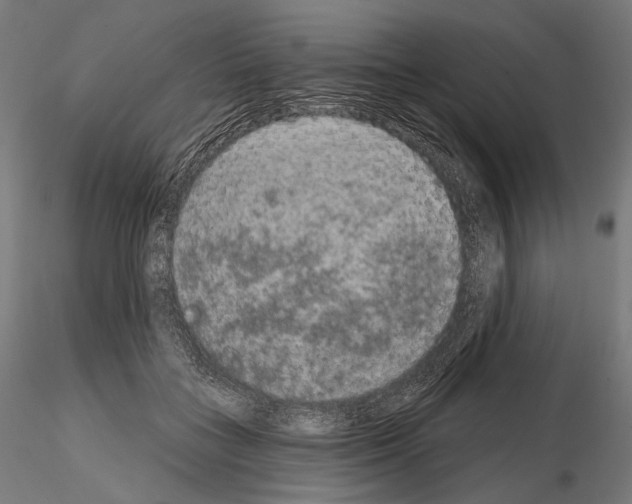 X0000115070555200912081150