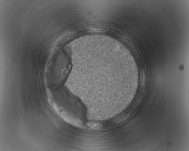 X0000115070557200912081150