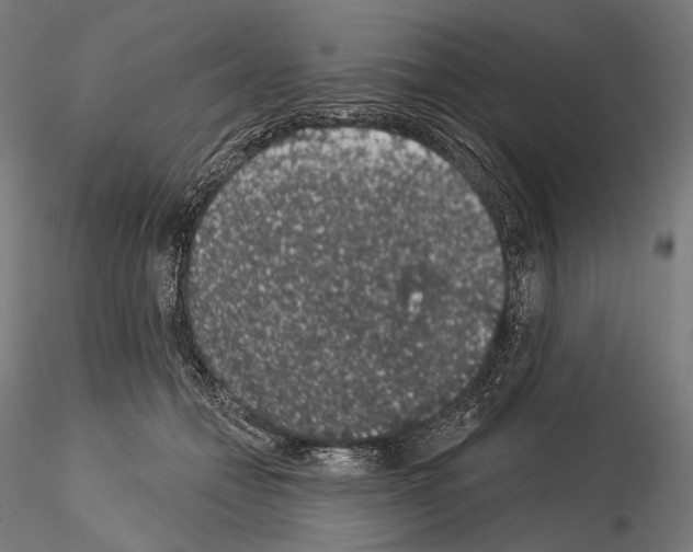 X0000115070558200912081150