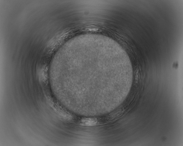 X0000115070559200912081150