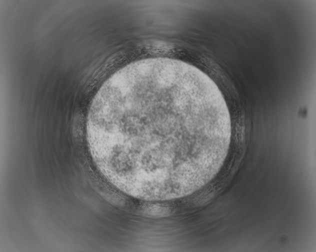 X0000115070561200912081150